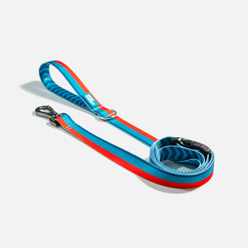 Dog Leash Blue