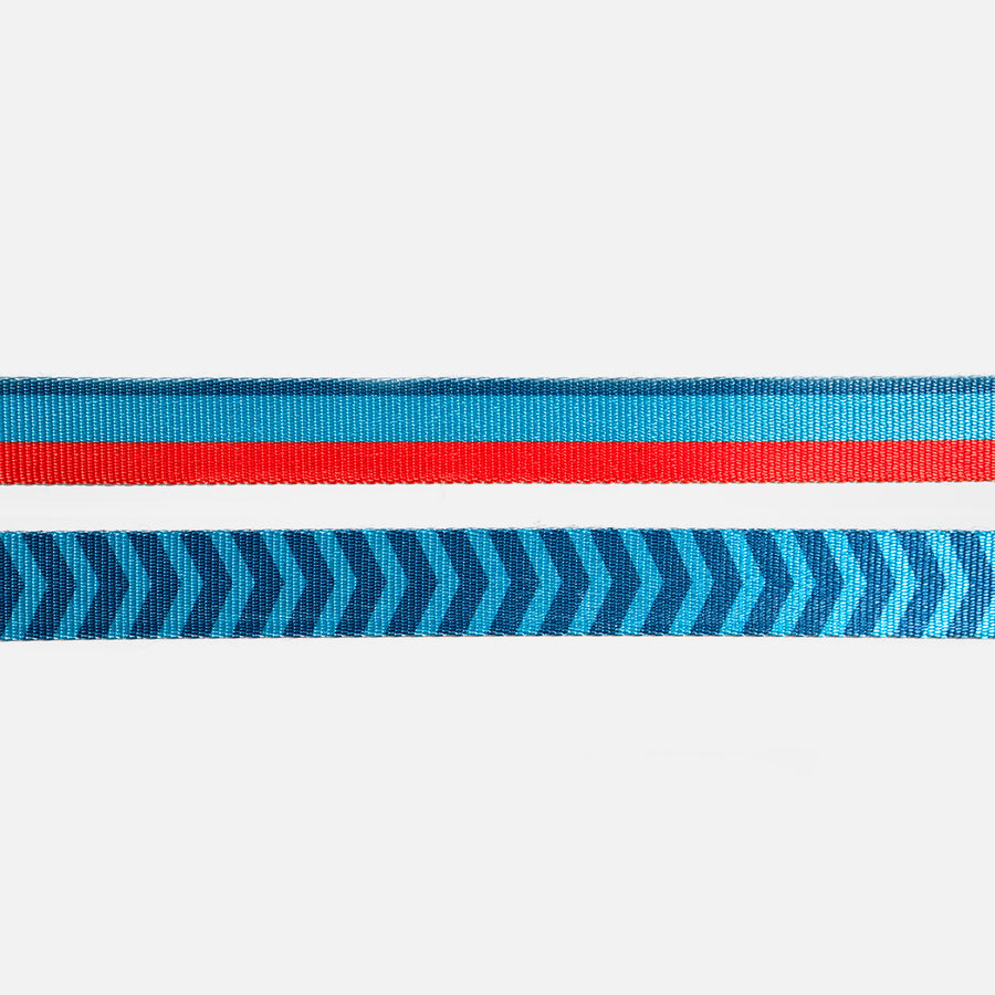 Dog Leash Blue