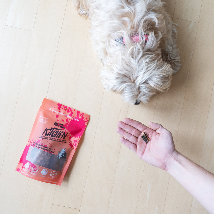 Dog Treats Salmon