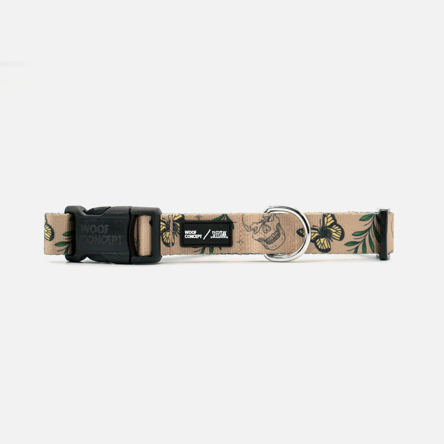 Dog Collar Brown