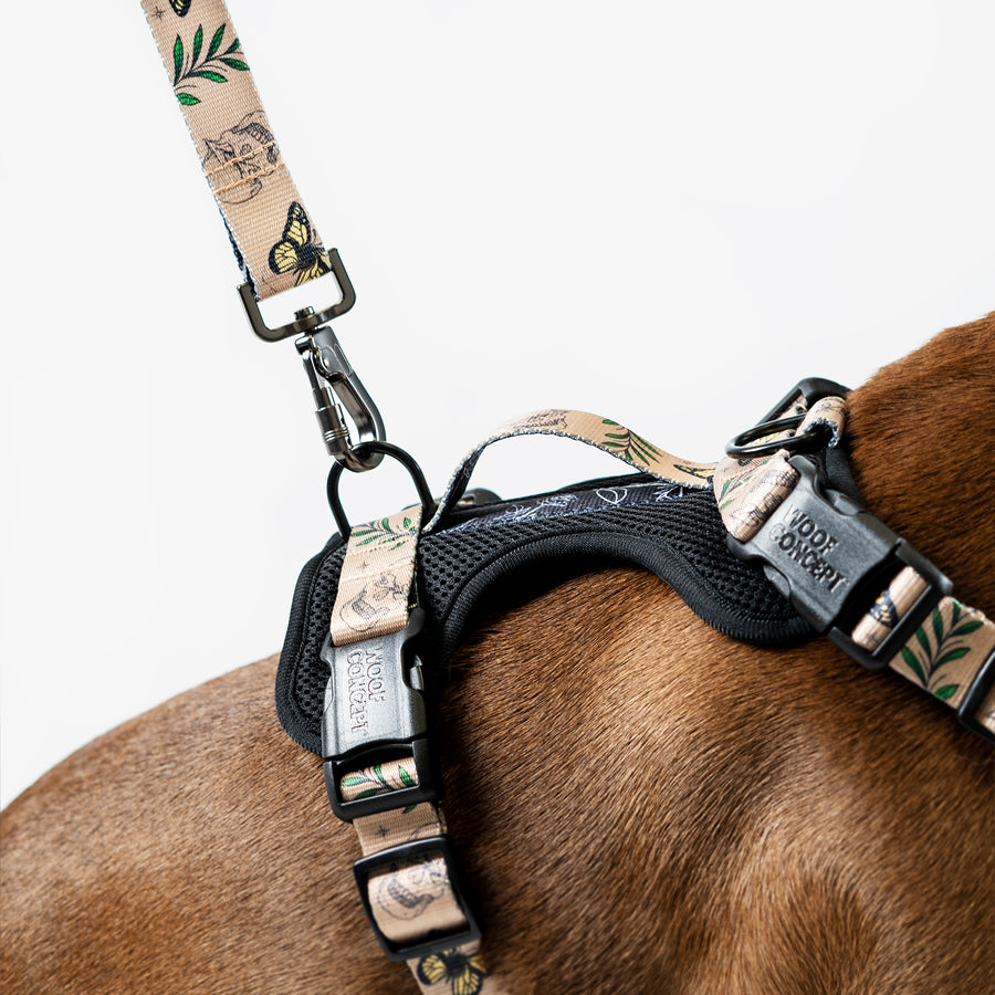 Dog Mesh Harness Beige