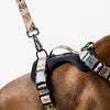 Dog Mesh Harness Beige