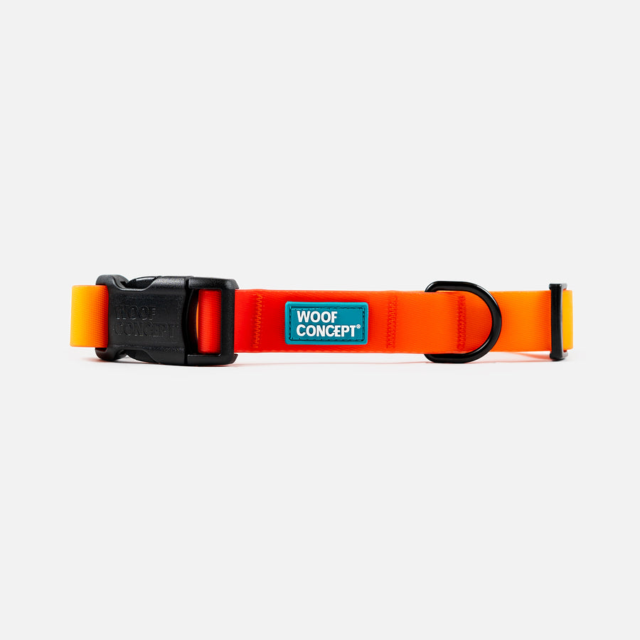 Waterproof Dog Collar Orange