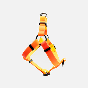 Waterproof Dog Harness Orange
