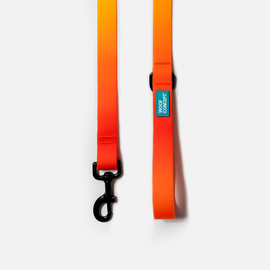 Waterproof Dog Leash Orange