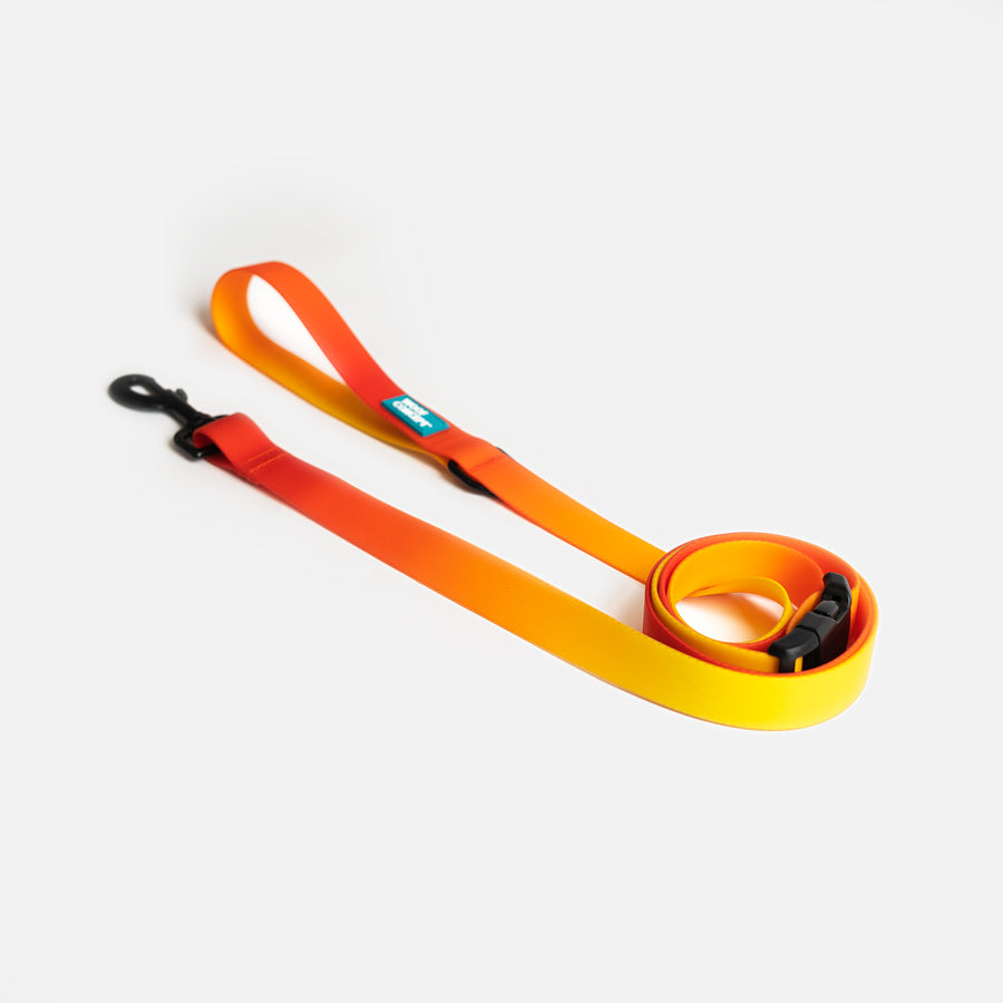 Waterproof Dog Leash Orange