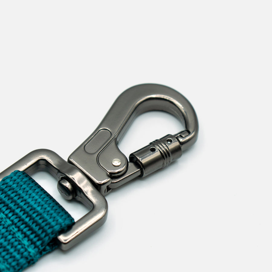 Dog Leash Blue