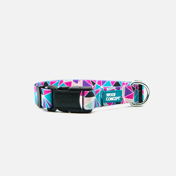 Dog Collar Purple