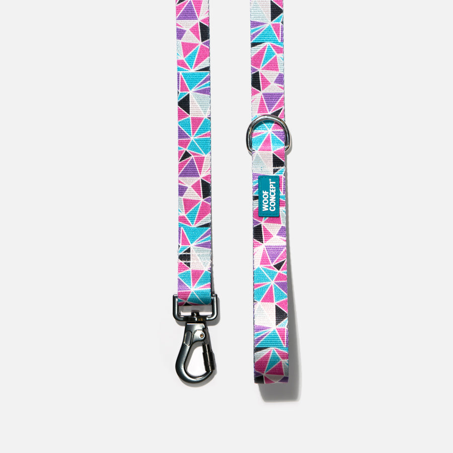 Dog Leash Purple