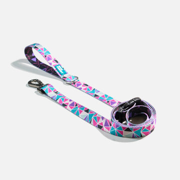 Dog Leash Purple