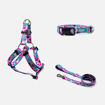 Dog Harness, Collar, Leash