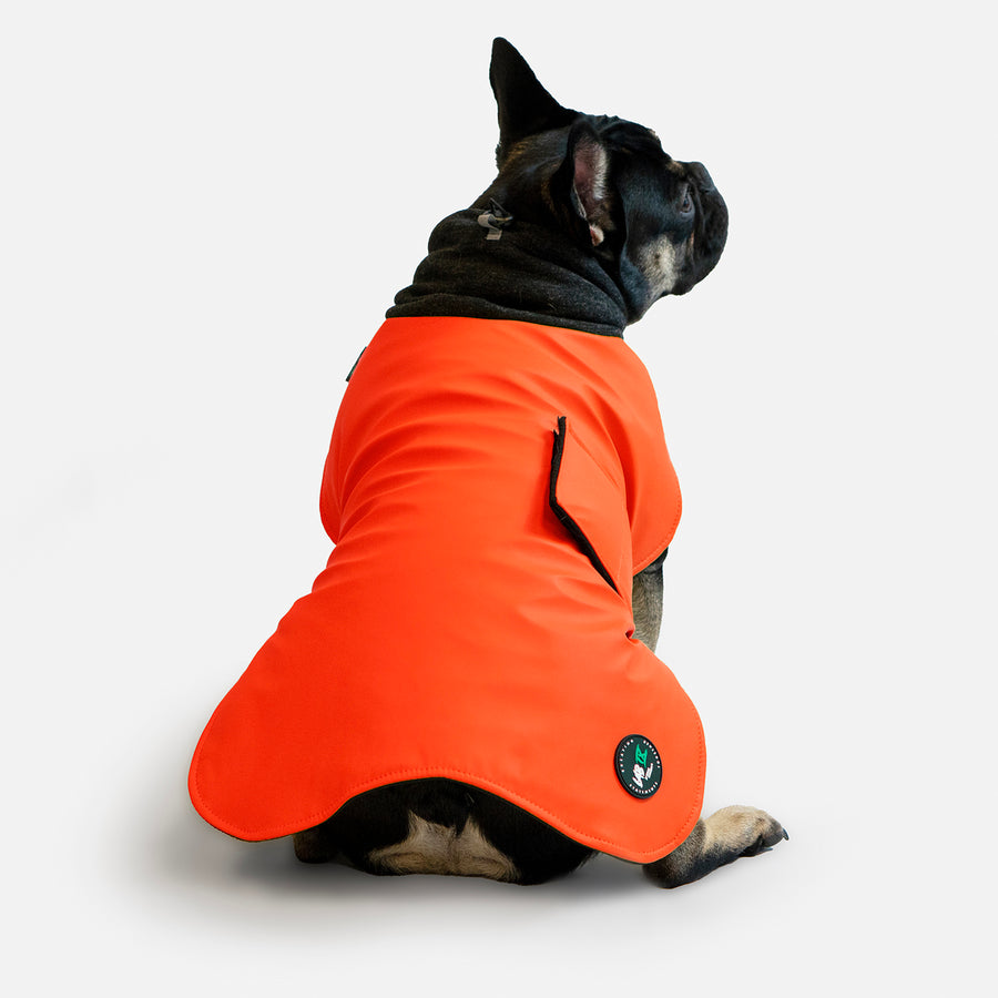 Dog Wintertide Coat Orange