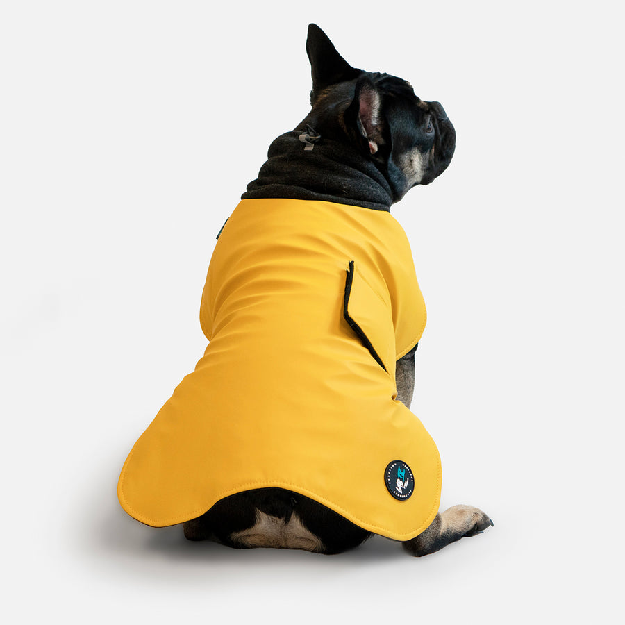 Dog Wintertide Coat Yellow