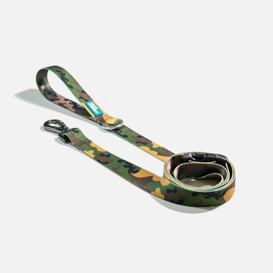 Dog Leash Green