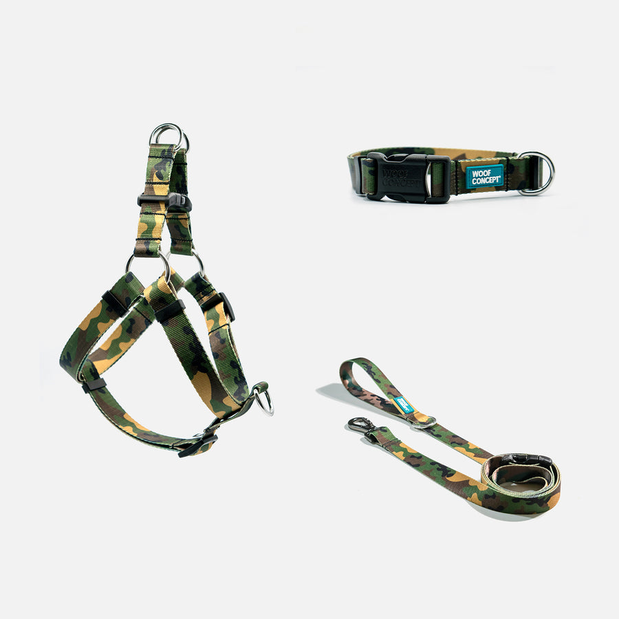 Dog Harness, Collar, Leash